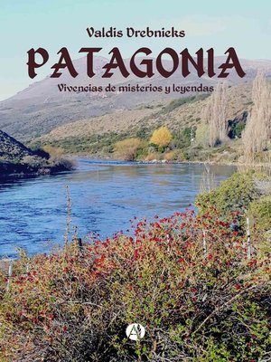 cover image of Patagonia